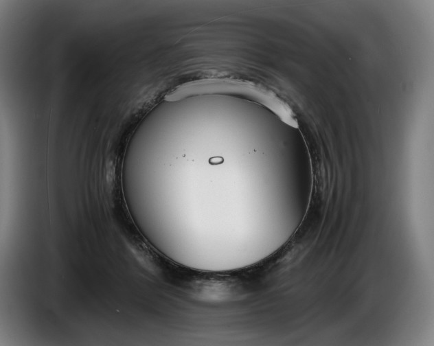 X0000085790412200703301456