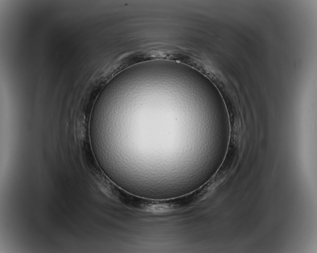 X0000085790413200703301456