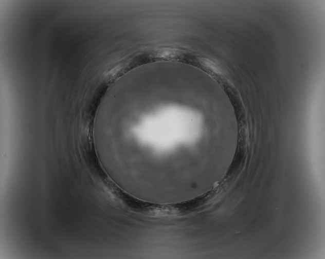 X0000085790415200703301456