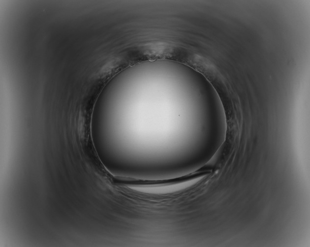 X0000085790416200703301455