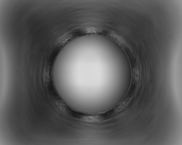 X0000085790422200703301455