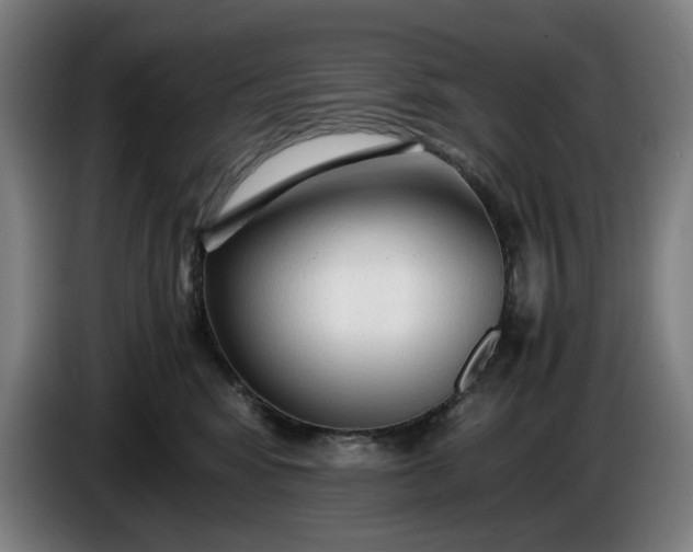 X0000085790424200703301455
