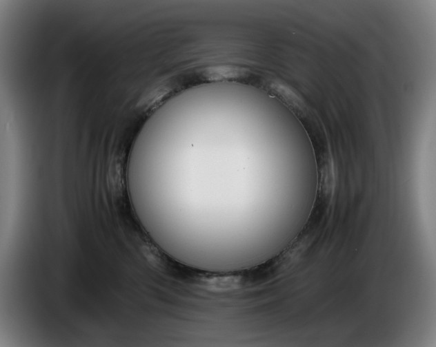 X0000085790426200703301455
