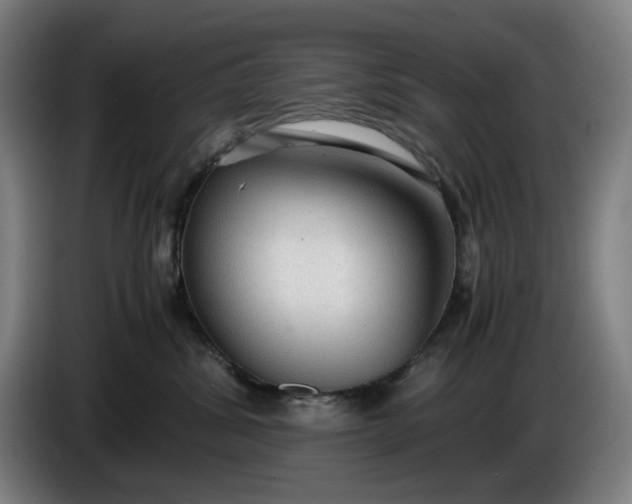 X0000085790428200703301455