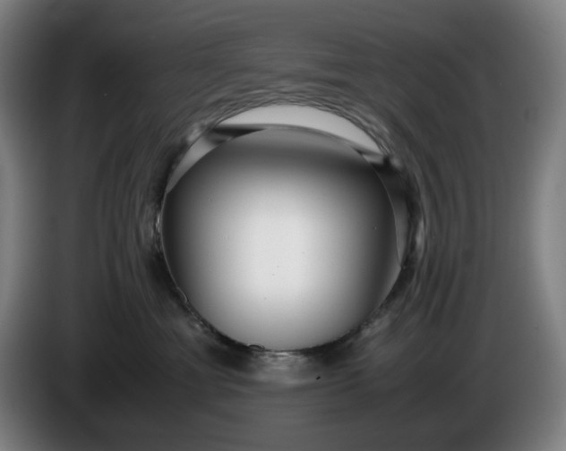 X0000085790429200703301455