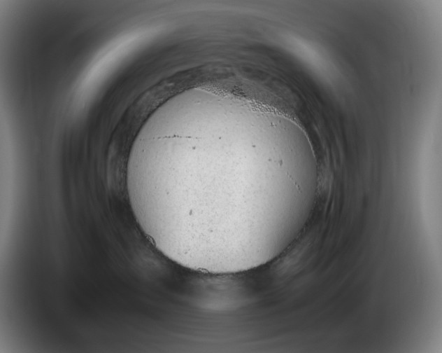 X0000085790431200703301455