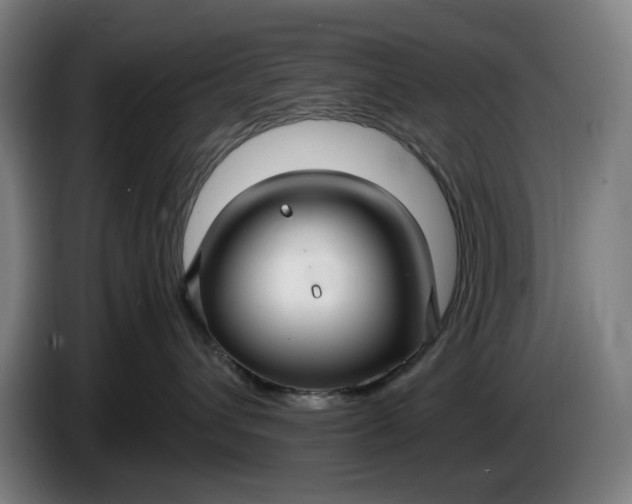 X0000085790432200703301455