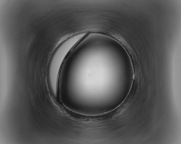 X0000085790434200703301455