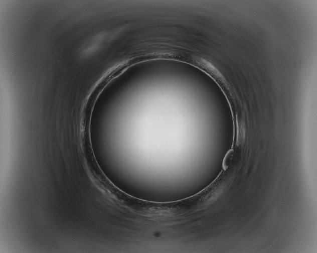 X0000085790435200703301455