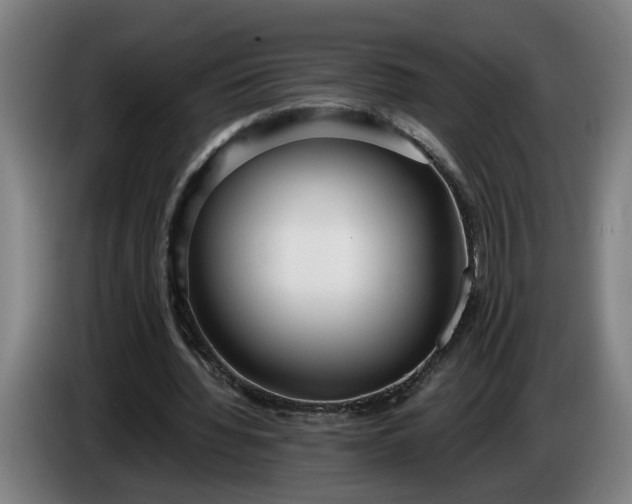 X0000085790436200703301455