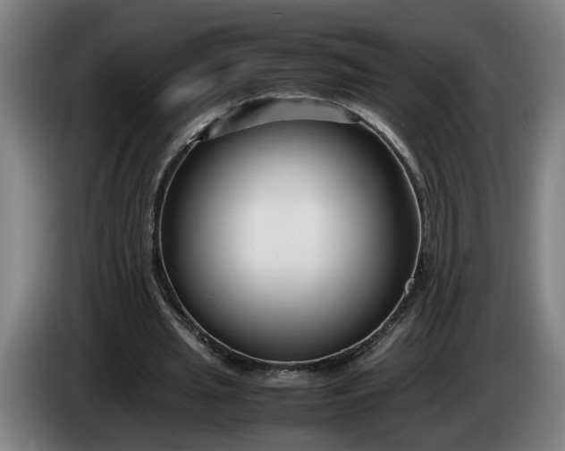X0000085790437200703301455