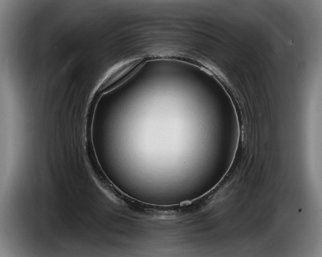 X0000085790438200703301455