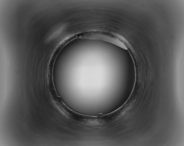 X0000085790439200703301455