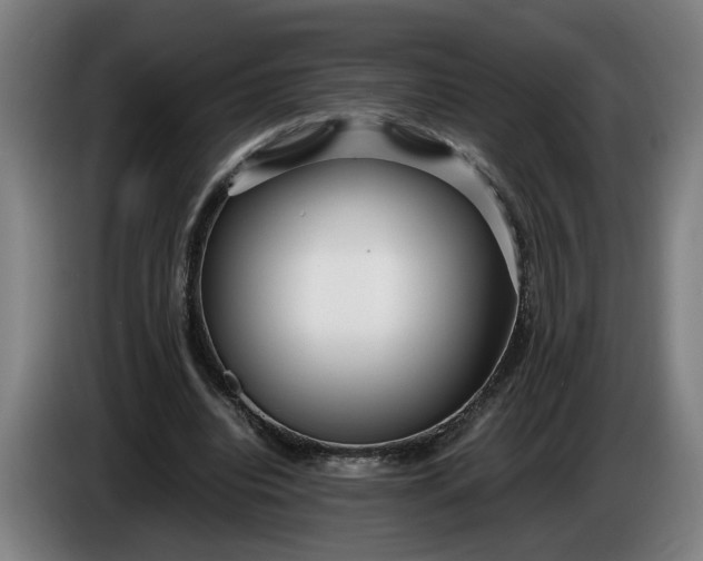 X0000085790440200703301455
