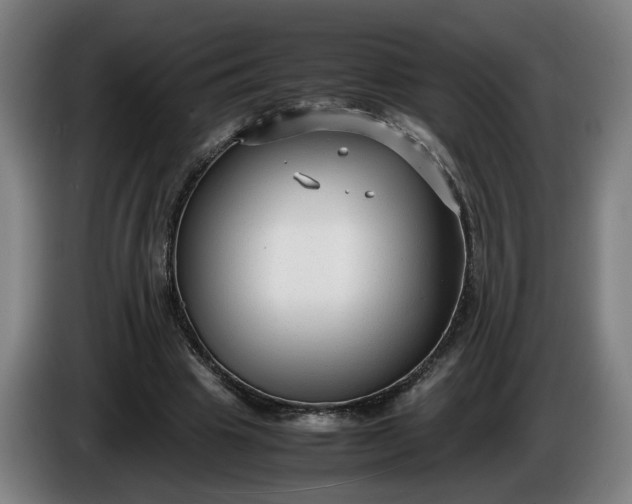X0000085790441200703301455