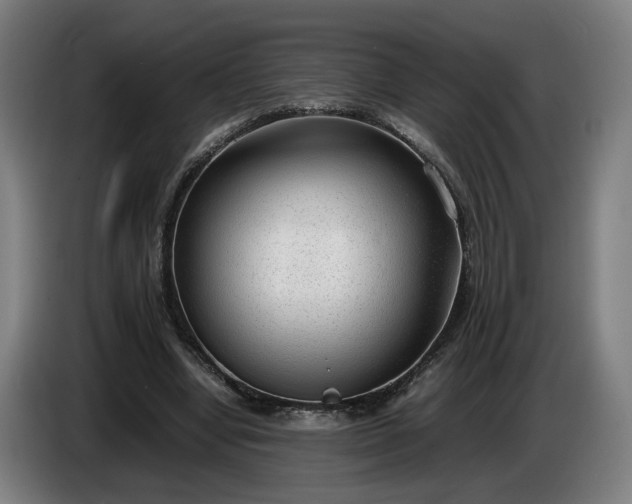 X0000085790442200703301455