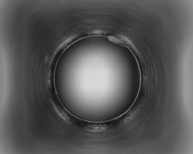 X0000085790443200703301455