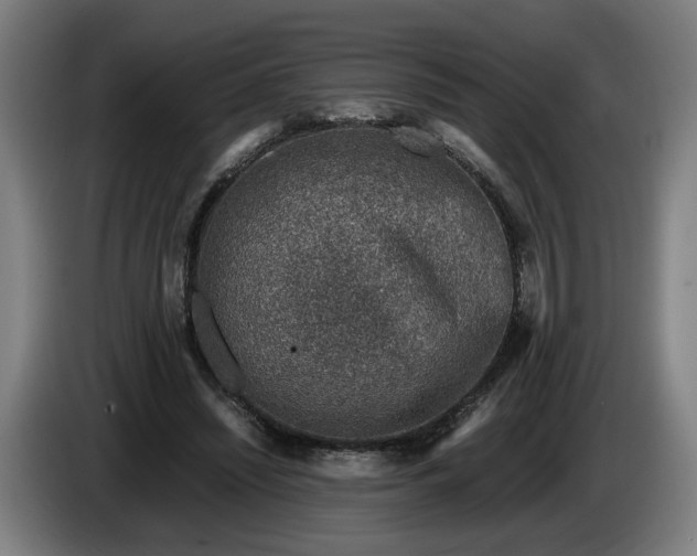 X0000085790444200703301455