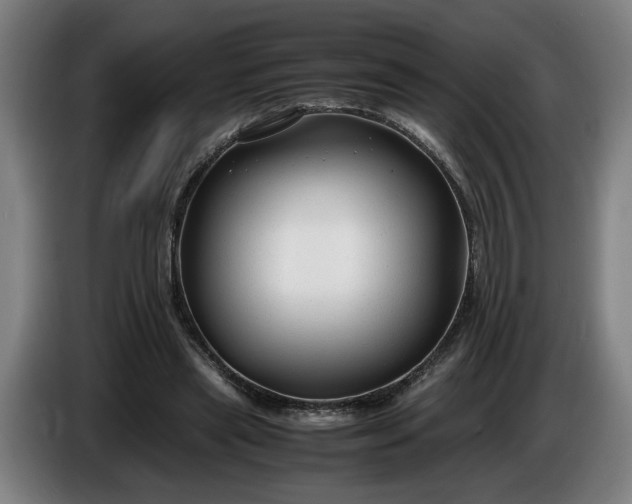 X0000085790445200703301455