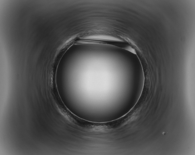 X0000085790446200703301455