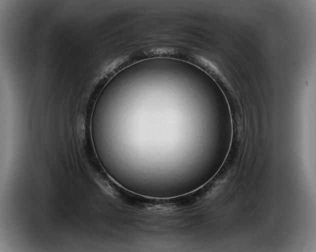 X0000085790447200703301455