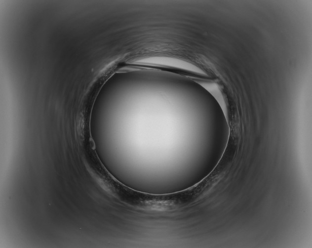 X0000085790448200703301455