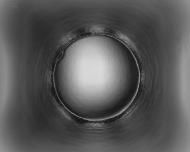 X0000085790449200703301455