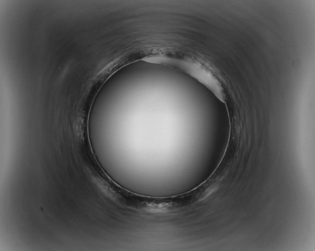 X0000085790450200703301455
