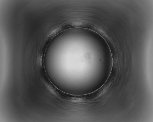 X0000085790454200703301455