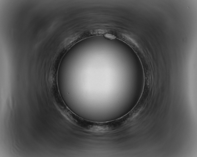 X0000085790455200703301455