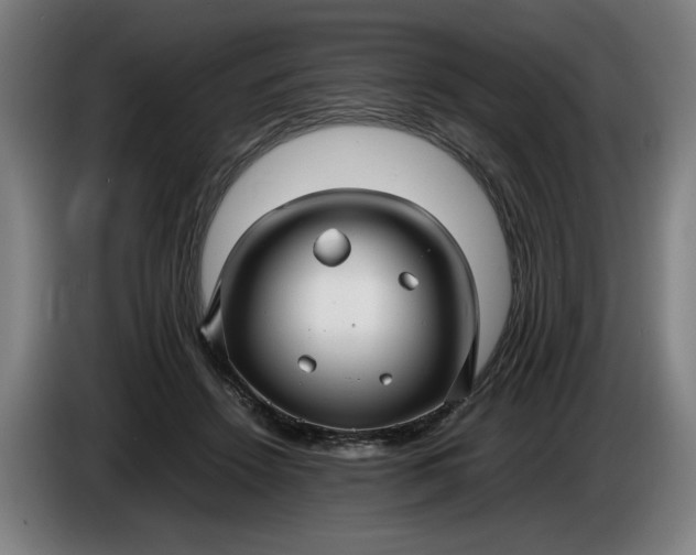 X0000085790456200703301455