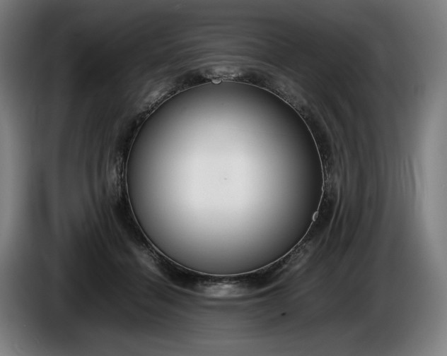 X0000085790460200703301455