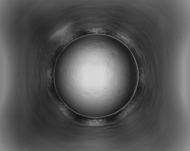 X0000085790461200703301455