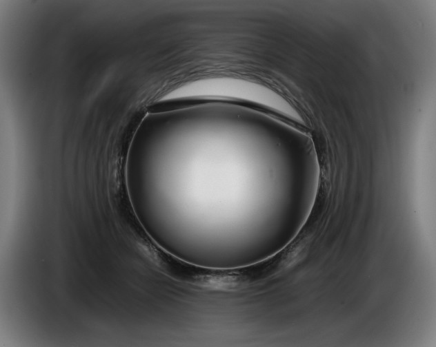 X0000085790462200703301455