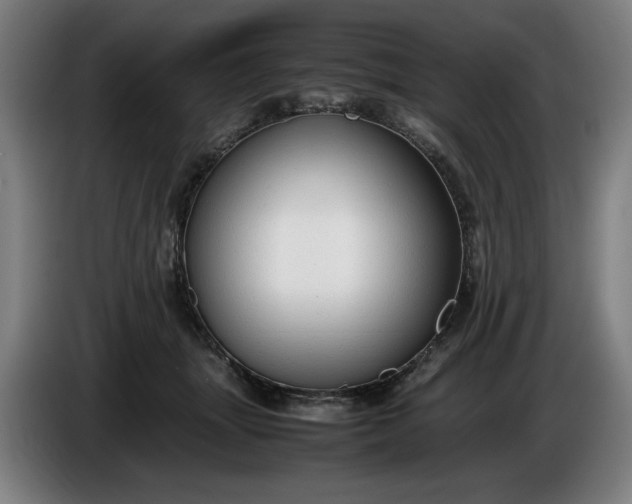 X0000085790463200703301455