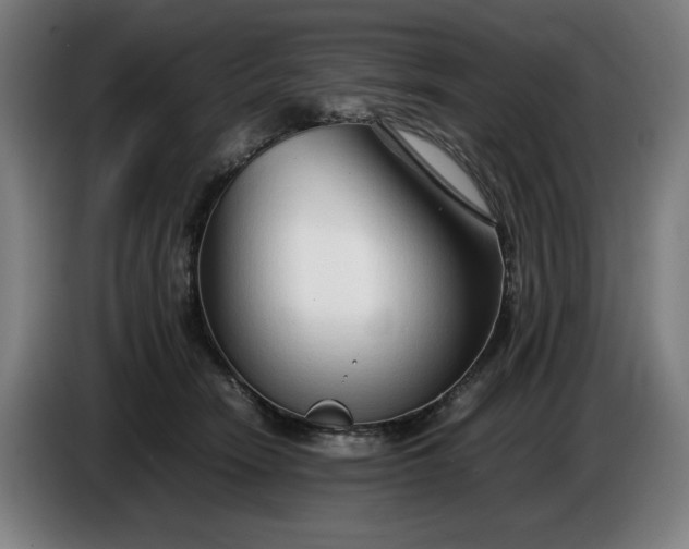 X0000085790466200703301455