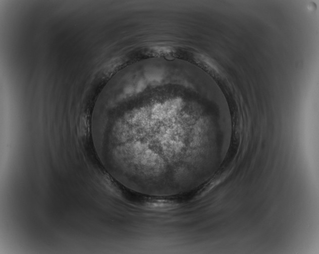 X0000085790467200703301455