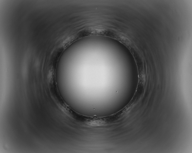 X0000085790468200703301455