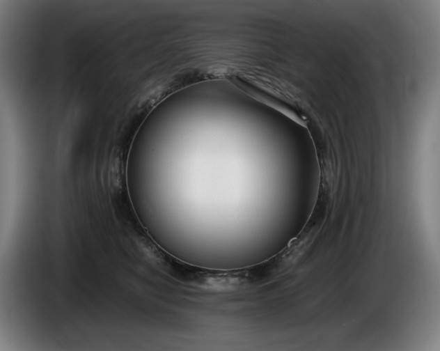 X0000085790470200703301455