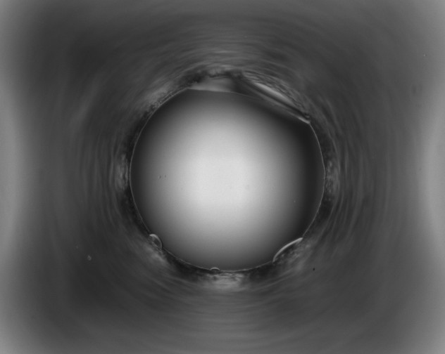 X0000085790474200703301455
