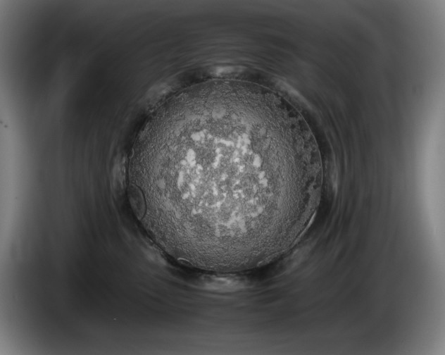 X0000085790475200703301455