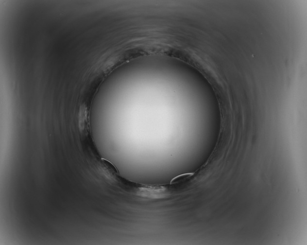 X0000085790480200703301455