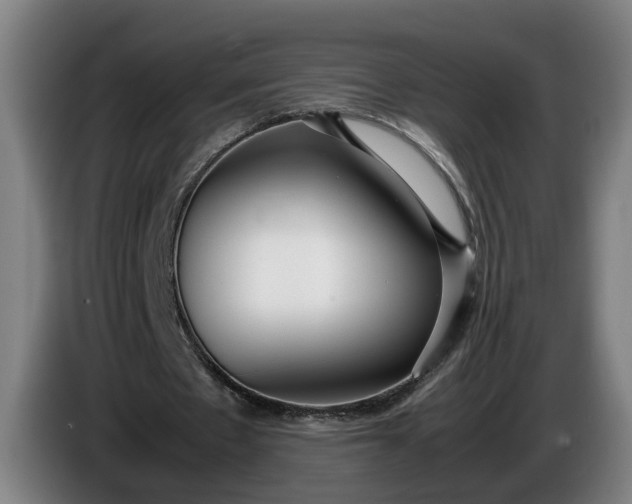 X0000085790481200703301455