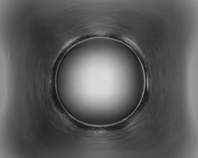 X0000085790483200703301455