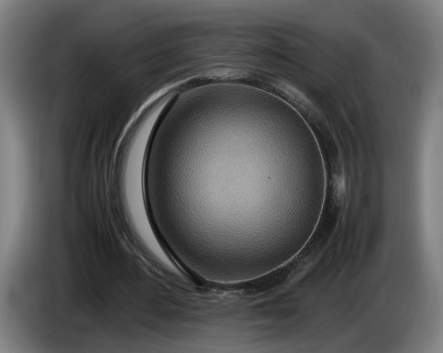 X0000085790484200703301455