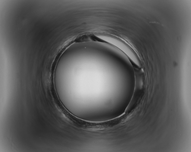 X0000085790485200703301455