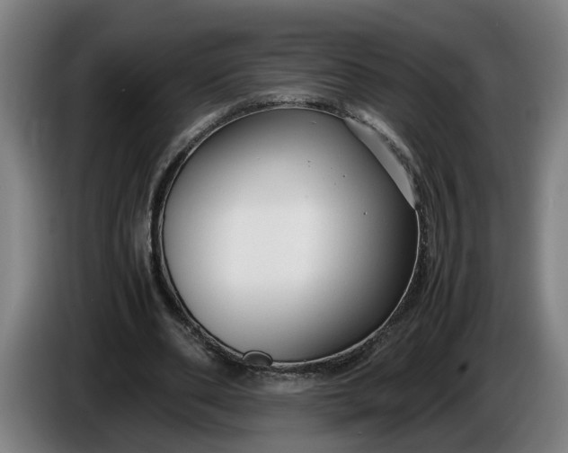 X0000085790486200703301455