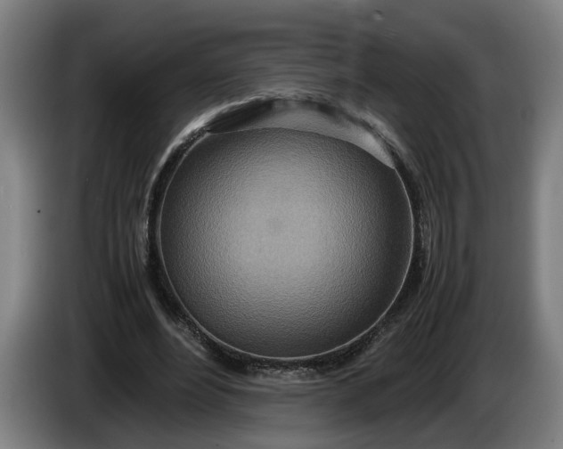 X0000085790488200703301454