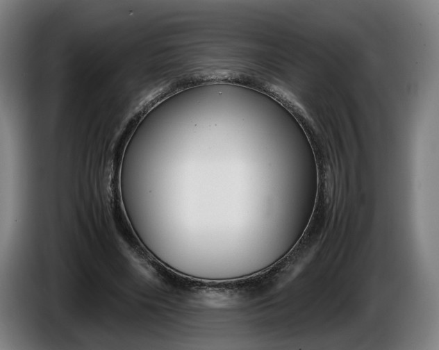 X0000085790490200703301454
