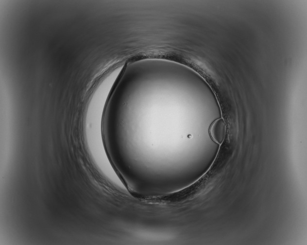 X0000085790491200703301454